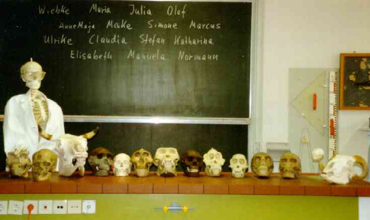 Bild des Biologie-LK